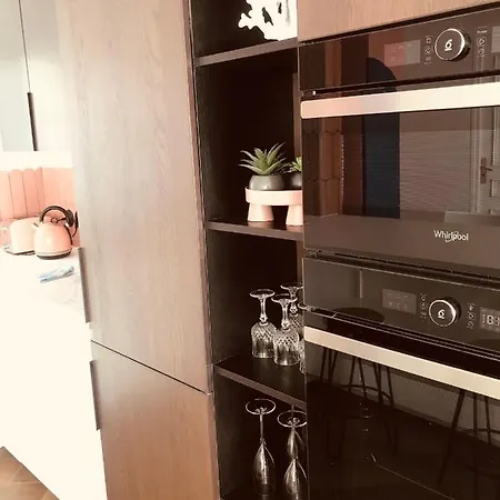 Nid Douillet 2 - Appartement Cosy Avec Garage Grenoble Buitenkant foto